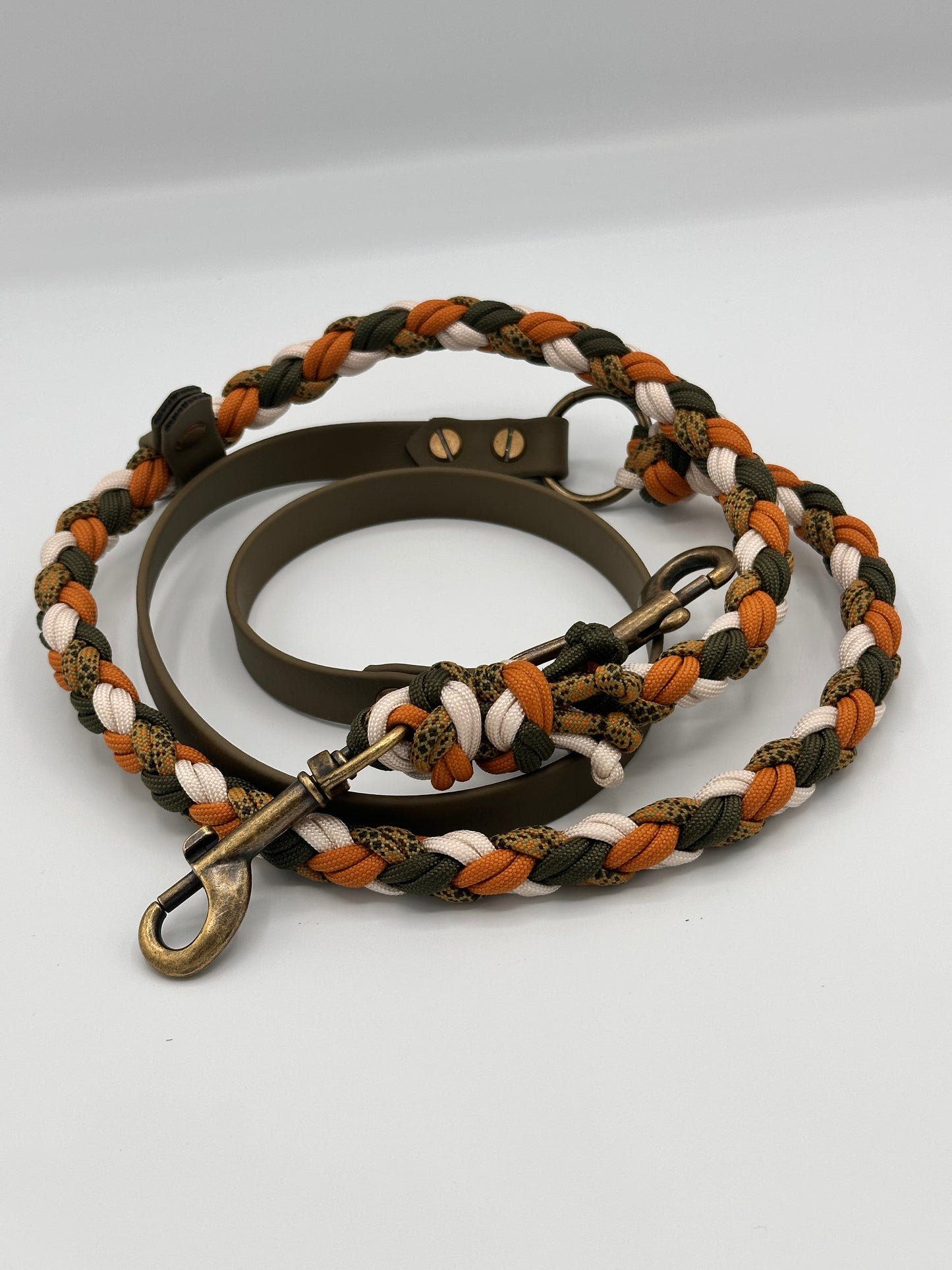 Kombileine Biothane x Paracord