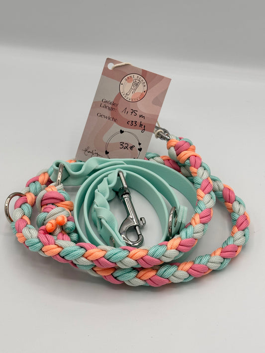 Gurtband x Paracord  Leine 1,75 m