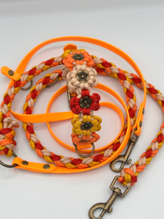 Set Paracord x Biothane