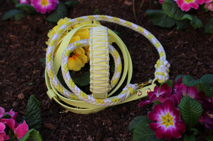 Leine „Karli's Gänseblümchen"
